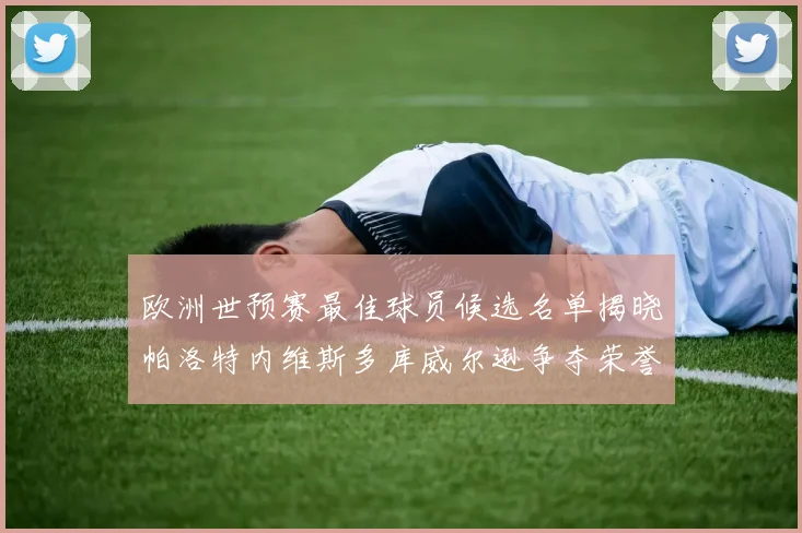 欧洲世预赛最佳球员候选名单揭晓帕洛特内维斯多库威尔逊争夺荣誉